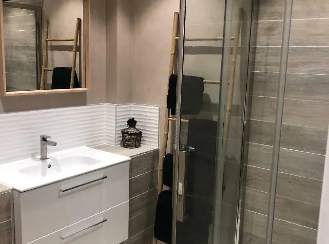 公寓 L'escale Setoise 塞特港